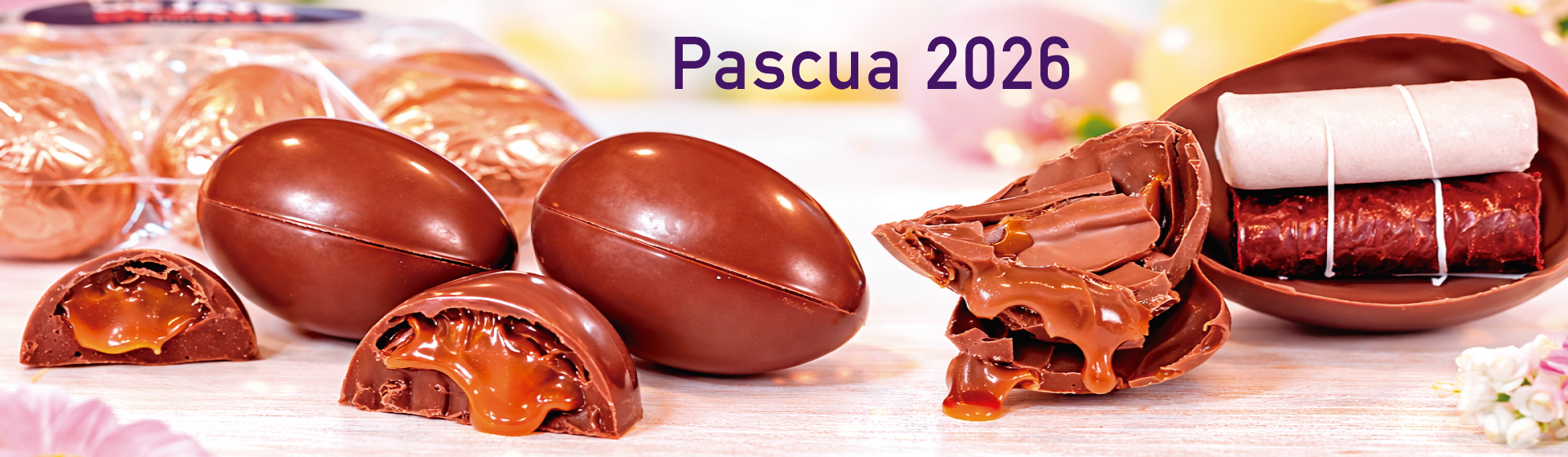 banner-web-pascua-2026